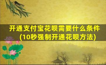 开通支付宝花呗需要什么条件(10秒强制开通花呗方法)