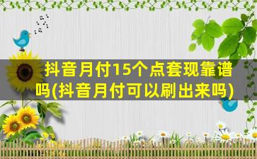 抖音月付15个点套现靠谱吗(抖音月付可以刷出来吗)