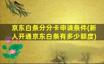 京东白条分分卡申请条件(新人开通京东白条有多少额度)