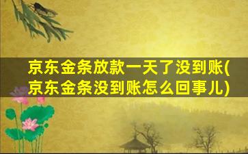 京东金条放款一天了没到账(京东金条没到账怎么回事儿)