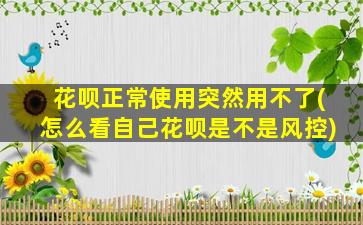 花呗正常使用突然用不了(怎么看自己花呗是不是风控)