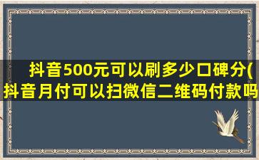 抖音500元可以刷多少口碑分(抖音月付可以扫微信二维码付款吗)