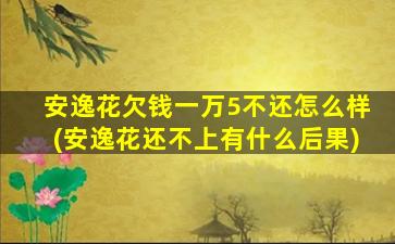 安逸花欠钱一万5不还怎么样(安逸花还不上有什么后果)