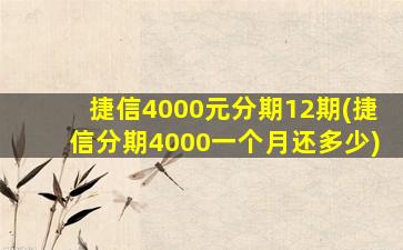 捷信4000元分期12期(捷信分期4000一个月还多少)