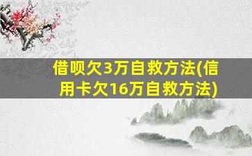 借呗欠3万自救方法(信用卡欠16万自救方法)