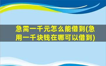 急需一千元怎么能借到(急用一千块钱在哪可以借到)