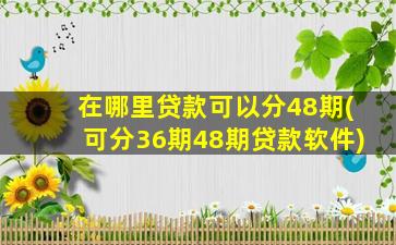 在哪里贷款可以分48期(可分36期48期贷款软件)