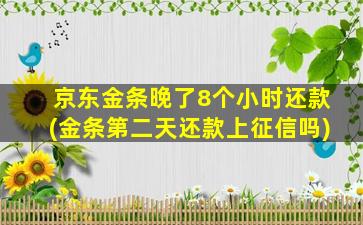 京东金条晚了8个小时还款(金条第二天还款上征信吗)