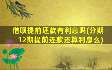 借呗提前还款有利息吗(分期12期提前还款还算利息么)