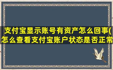 支付宝显示账号有资产怎么回事(怎么查看支付宝账户状态是否正常)