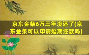 京东金条6万三年没还了(京东金条可以申请延期还款吗)