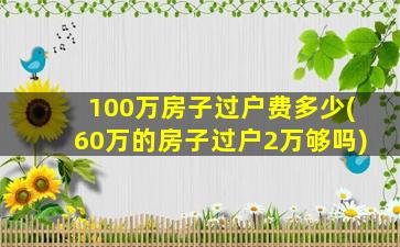 100万房子过户费多少(60万的房子过户2万够吗)