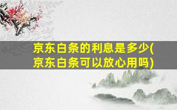 京东白条的利息是多少(京东白条可以放心用吗)