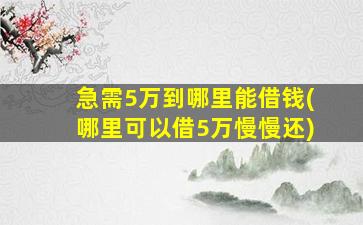 急需5万到哪里能借钱(哪里可以借5万慢慢还)