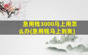 急用钱3000马上用怎么办(急用钱马上到账)