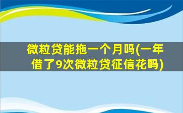 微粒贷能拖一个月吗(一年借了9次微粒贷征信花吗)