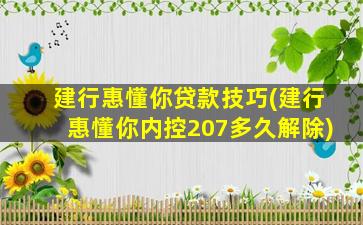 建行惠懂你贷款技巧(建行惠懂你内控207多久解除)