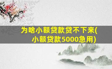 为啥小额贷款贷不下来(小额贷款5000急用)