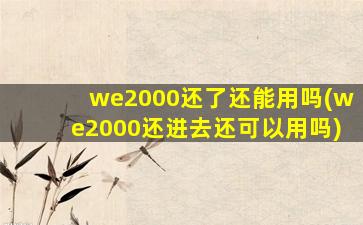 we2000还了还能用吗(we2000还进去还可以用吗)