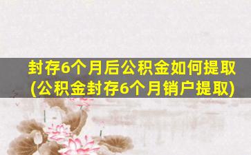 封存6个月后公积金如何提取(公积金封存6个月销户提取)