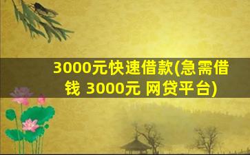 3000元快速借款(急需借钱 3000元 网贷平台)