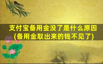 支付宝备用金没了是什么原因(备用金取出来的钱不见了)