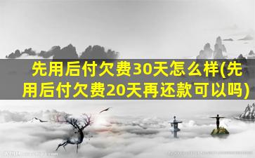 先用后付欠费30天怎么样(先用后付欠费20天再还款可以吗)