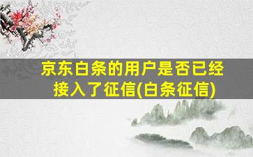 京东白条的用户是否已经接入了征信(白条征信)