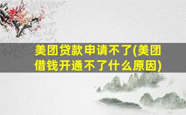 美团贷款申请不了(美团借钱开通不了什么原因)