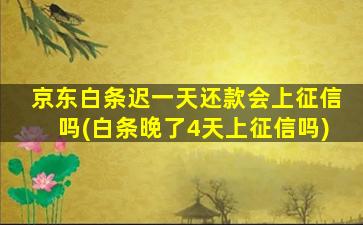 京东白条迟一天还款会上征信吗(白条晚了4天上征信吗)