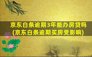 京东白条逾期3年能办房贷吗(京东白条逾期买房受影响)