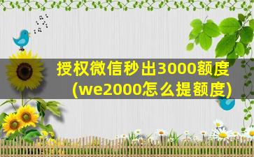 授权微信秒出3000额度(we2000怎么提额度)