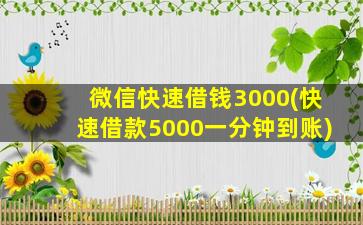 微信快速借钱3000(快速借款5000一分钟到账)