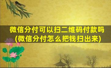 微信分付可以扫二维码付款吗(微信分付怎么把钱扫出来)