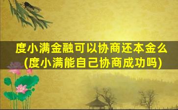 度小满金融可以协商还本金么(度小满能自己协商成功吗)