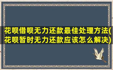 花呗借呗无力还款最佳处理方法(花呗暂时无力还款应该怎么解决)