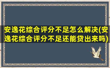 安逸花综合评分不足怎么解决(安逸花综合评分不足还能贷出来吗)