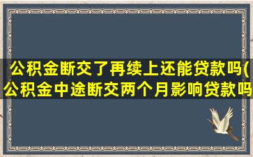 公积金断交了再续上还能贷款吗(公积金中途断交两个月影响贷款吗)