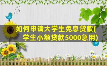 如何申请大学生免息贷款(学生小额贷款5000急用)