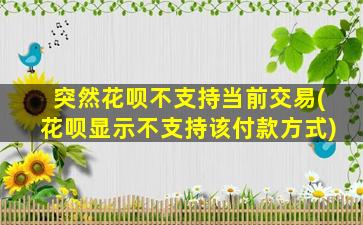 突然花呗不支持当前交易(花呗显示不支持该付款方式)