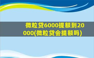 微粒贷6000提额到20000(微粒贷会提额吗)