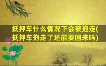 抵押车什么情况下会被拖走(抵押车拖走了还能要回来吗)