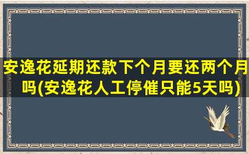 安逸花延期还款下个月要还两个月吗(安逸花人工停催只能5天吗)