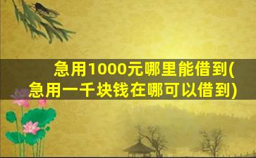 急用1000元哪里能借到(急用一千块钱在哪可以借到)