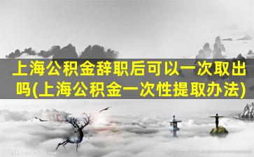 上海公积金辞职后可以一次取出吗(上海公积金一次性提取办法)