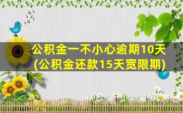 公积金一不小心逾期10天(公积金还款15天宽限期)