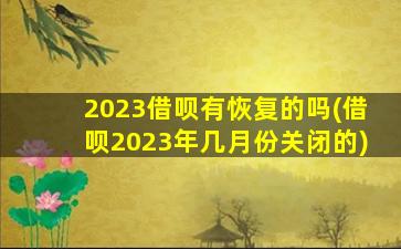 2023借呗有恢复的吗(借呗2023年几月份关闭的)