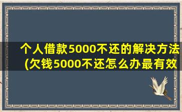 个人借款5000不还的解决方法(欠钱5000不还怎么办最有效的方法)