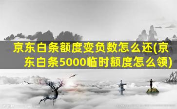 京东白条额度变负数怎么还(京东白条5000临时额度怎么领)