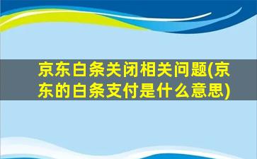 京东白条关闭相关问题(京东的白条支付是什么意思)